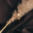 Ring, Anima Gemella 2 - Förgyllt 6