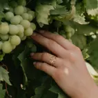 Ring, Anima Gemella 2 - Förgyllt 6