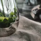 Tillbringare Hilke x Mumin 1,5L